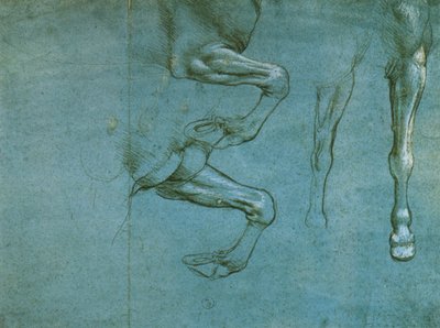 Study of the Forelegs of a Horse by Leonardo da Vinci